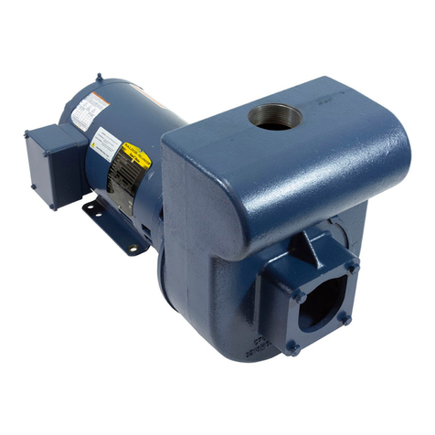 Pentair STA-RITE D Series owner's manual