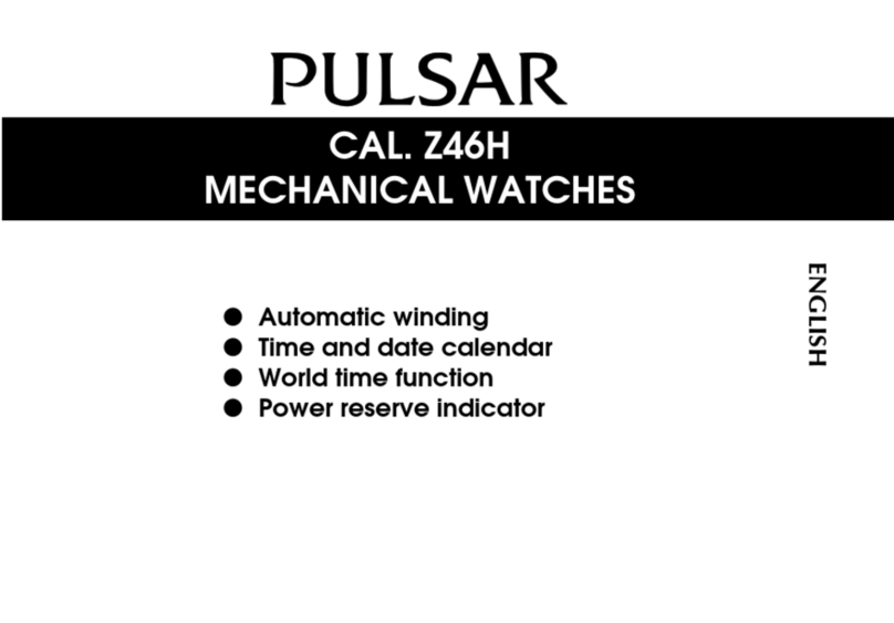 Pulsar Z46H manual