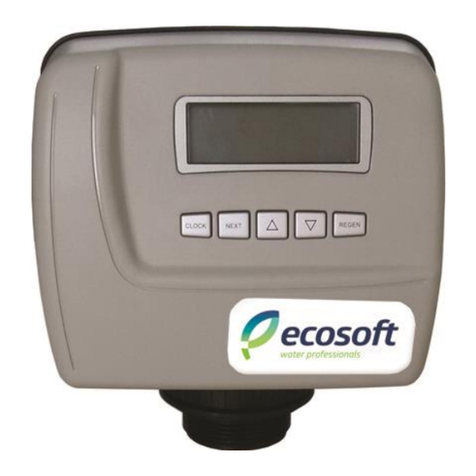 Ecosoft WS1 CE manual