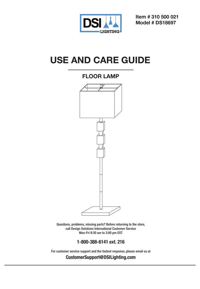 DSI LIGHTING DS18697 User manual