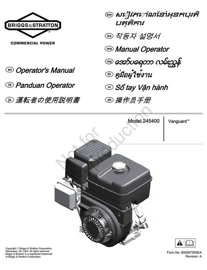 Briggs & Stratton Vanguard 245400 User manual
