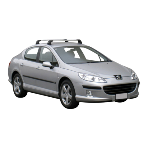PEUGEOT 407 2010 manual