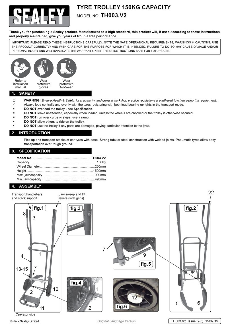 Sealey TH003.V2 User manual