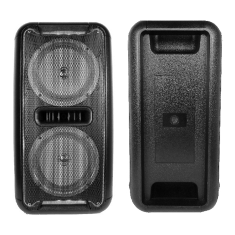 Laser SPK-S319 User manual