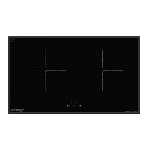 EuroSun EU-T891G User manual