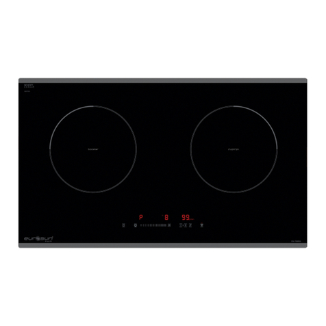 EuroSun EU-T881G User manual