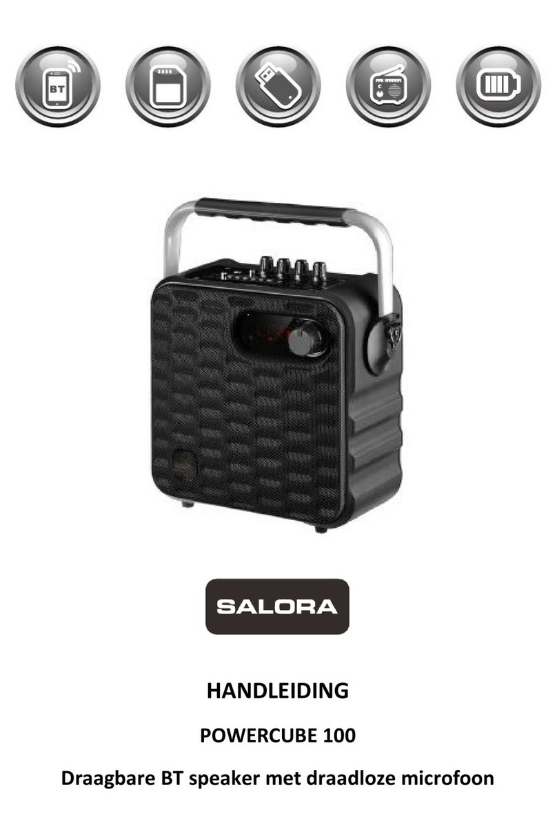 Salora POWERCUBE 100 User manual