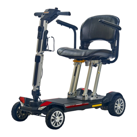 Golden Buzzaround Carry On Service guide