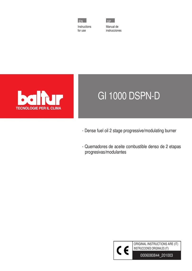 baltur GI 1000 DSPN-D User manual