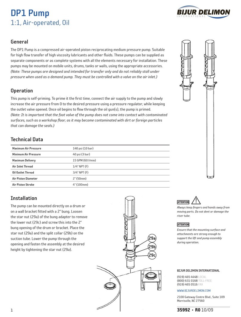 Bijur Delimon DP1 manual