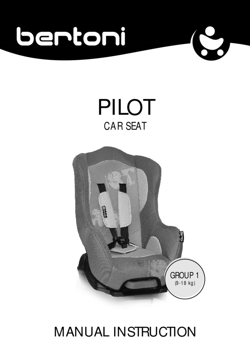 Bertoni PILOT User manual