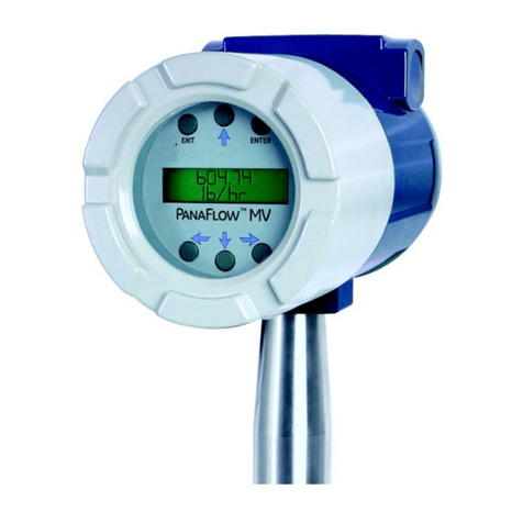 Panametrics PanaFlow MV80 User manual