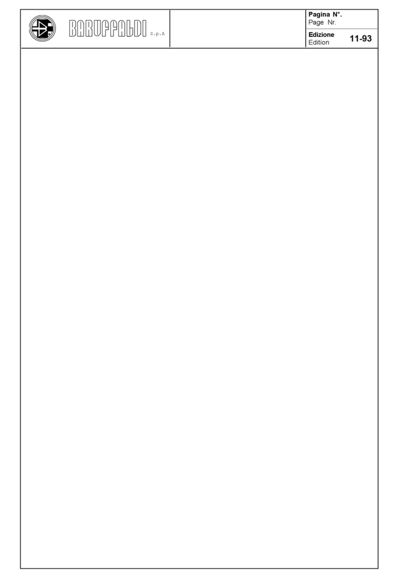 Baruffaldi TOEM 120 Assembly Drawing