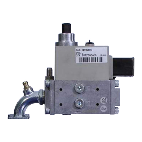 Ecoflam GT-D1-GBLE055-RP15-MAXGAS40-120 User manual