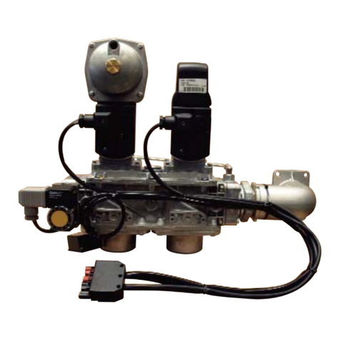 Ecoflam GT-S1-VGD20-RP50-BLU/MULTI manual