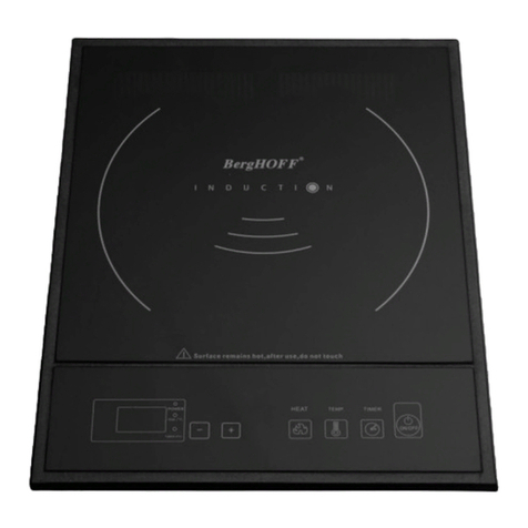 Berghoff TRONIC BHI 01SS manual
