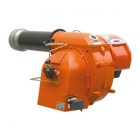 baltur BT 250 DSG 4T User manual