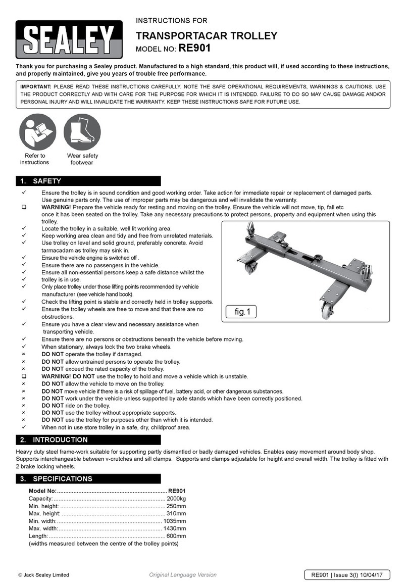 Sealey RE901 User manual