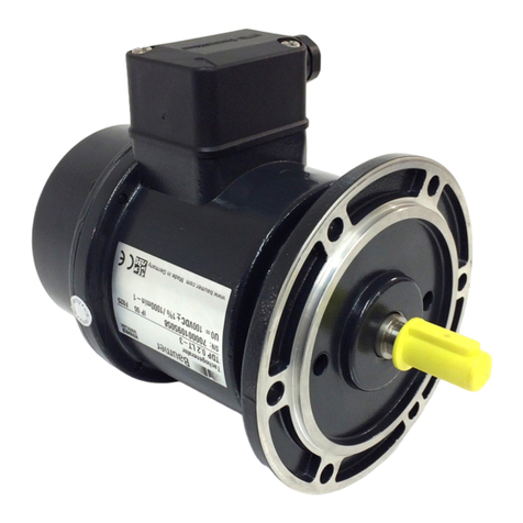 Baumer HUBNER TDP 0,2 Series Mounting and operating instructions