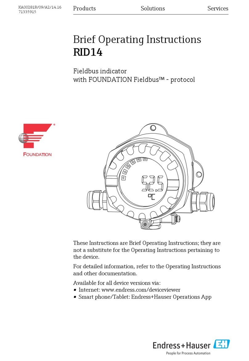 Endress+Hauser RID14 Technical specifications