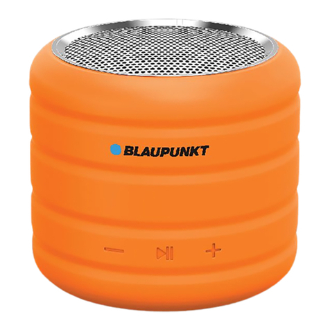 Blaupunkt BT01 owner's manual