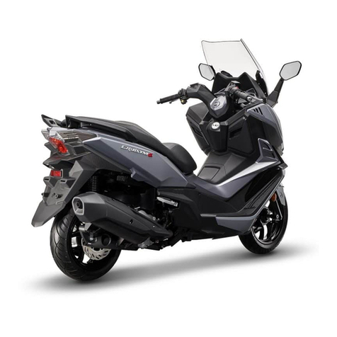 Sym CRUiSYM A User manual