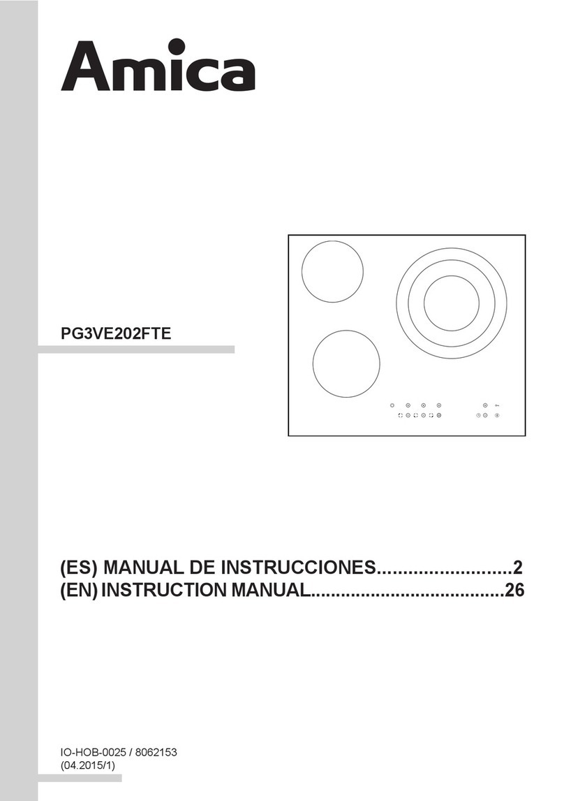 Amica PG3VE202FTE User manual