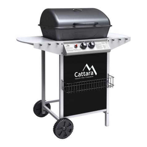 Cattara PARTY POINT manual