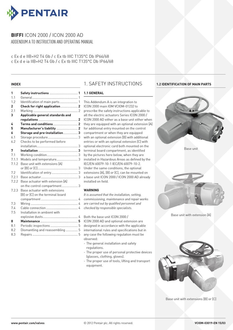 Pentair VIFFI ICON 2000 Instructions and operating manual Pentair VIFFI ICON 2000 Instructions and operating manual
