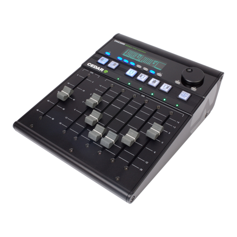 Cedar DNS3000 manual