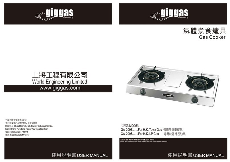 giggas GA-209S Series user manual