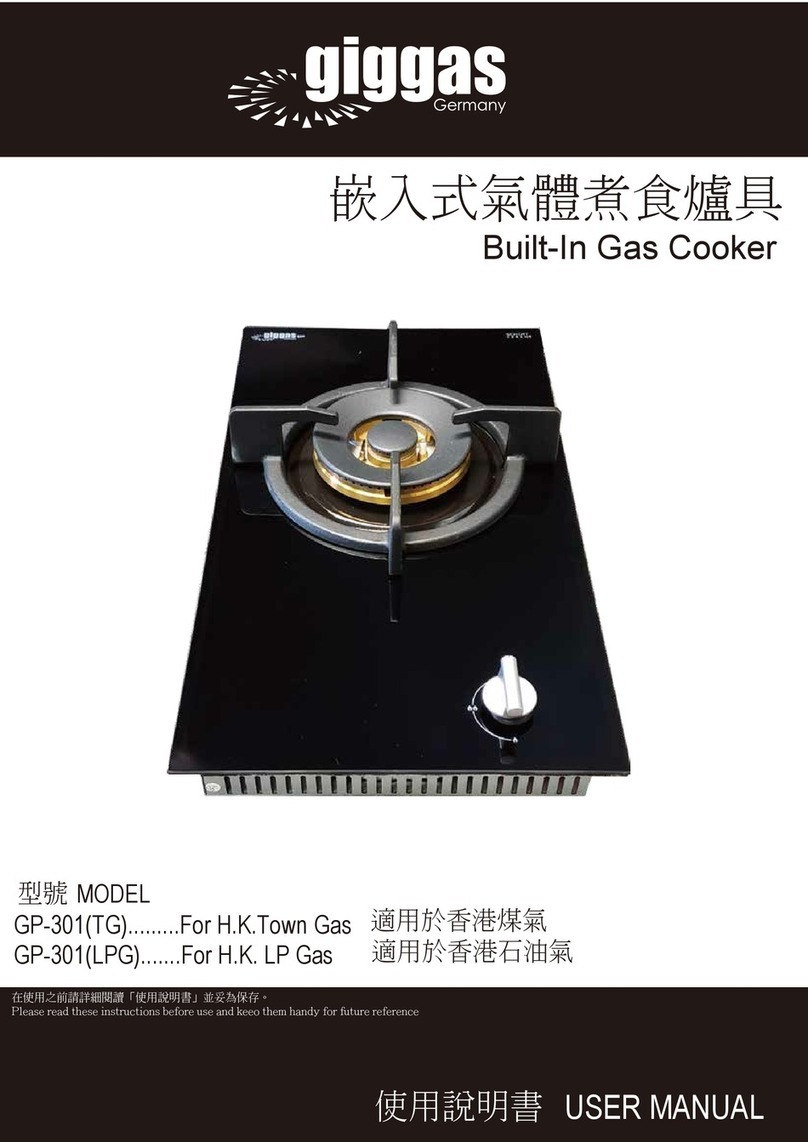 giggas GP-301 Series user manual