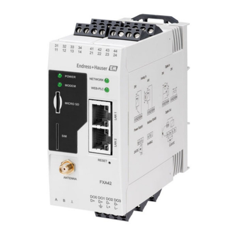 Endress+Hauser Fieldgate FXA42 Technical specifications