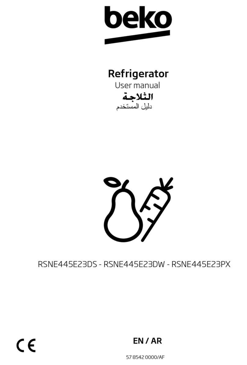 Beko RSNE445E23DS user manual