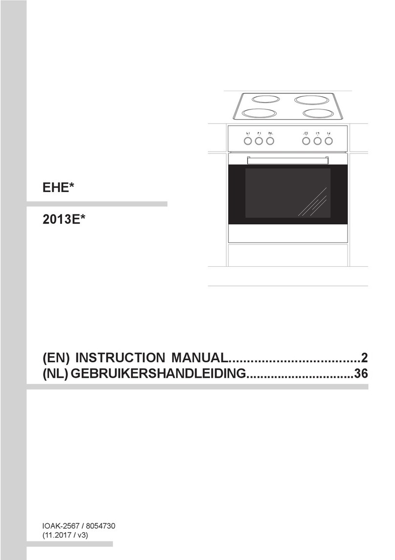 Amica EHE Series instruction manual