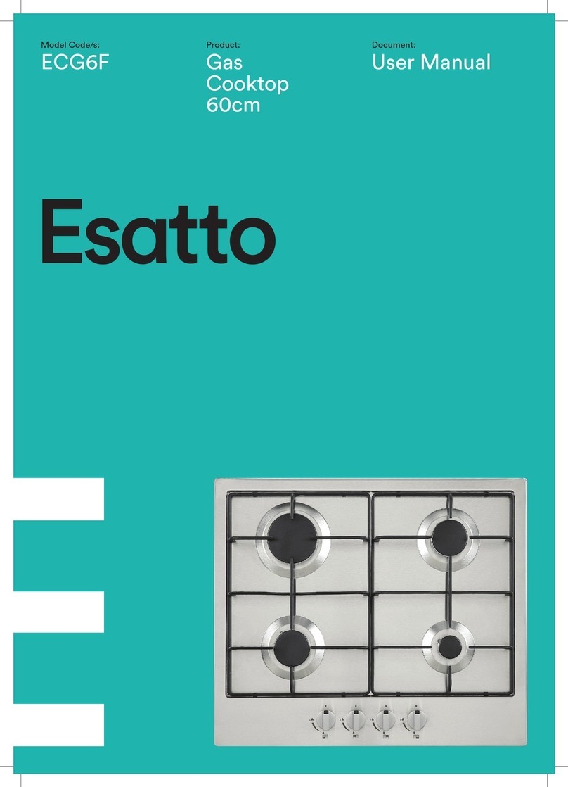 Esatto ECG6F User manual