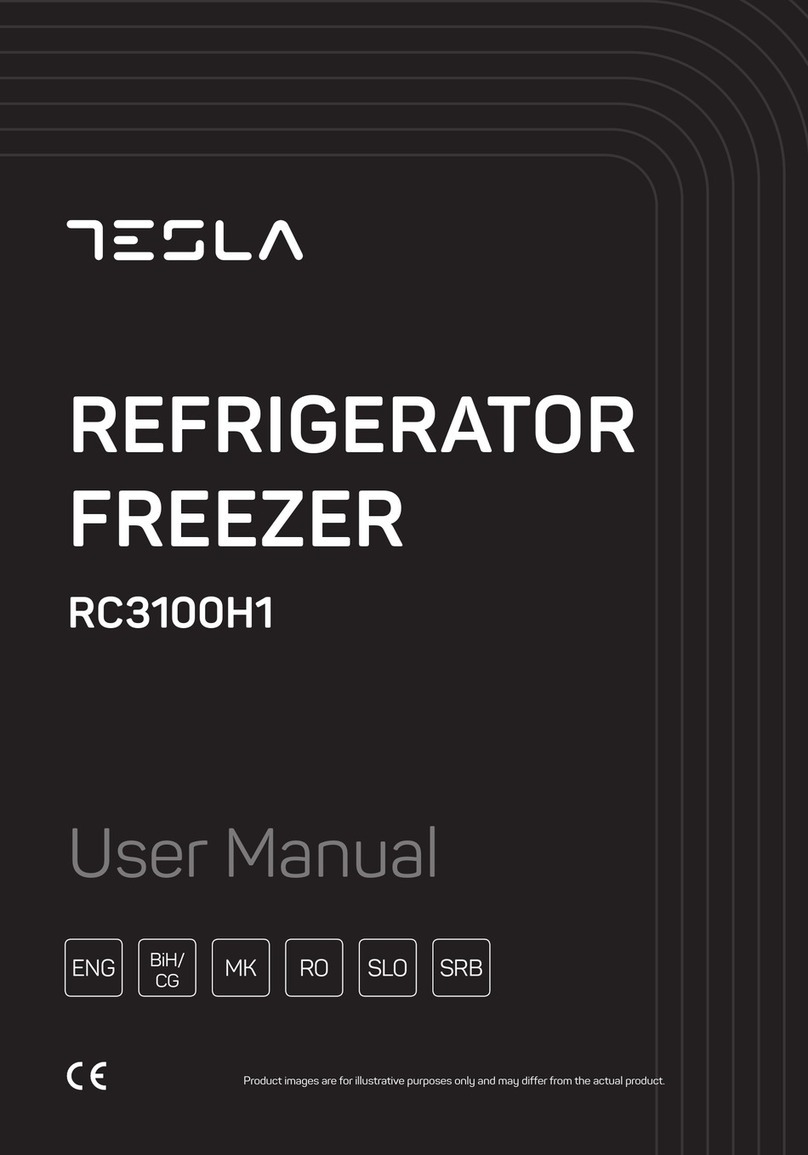 Tesla RC3100H1 user manual