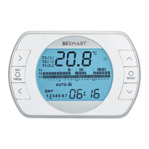 Riello BeSMART User manual