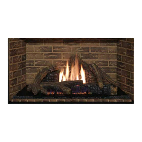 Astria Fireplaces Gemini-C Series Installation and operation instructions