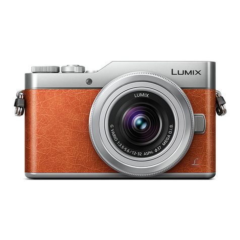 Panasonic Lumix DC-GF10 Owner's manual