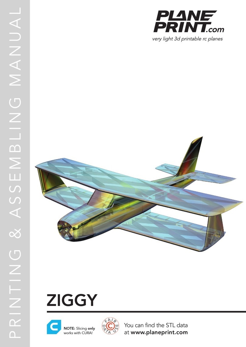 PLANEPRINT ZIGGY Programming manual