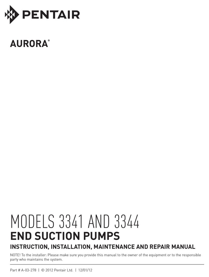 Pentair Aurora 3341 INSTRUCTION, INSTALLATION, MAINTENANCE AND REPAIR MANUAL