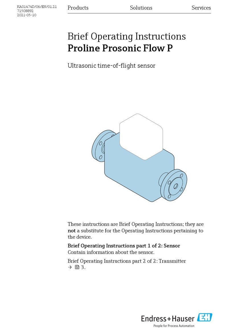 Endress+Hauser Proline Prosonic Flow P Technical specifications