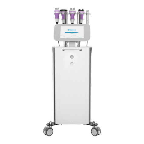 mychway MS-54F1 User manual