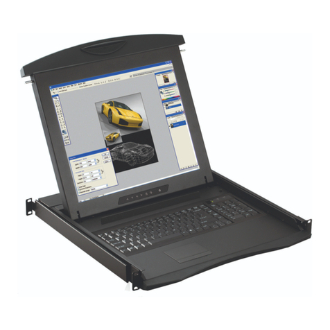 CyberView N117 Series user manual
