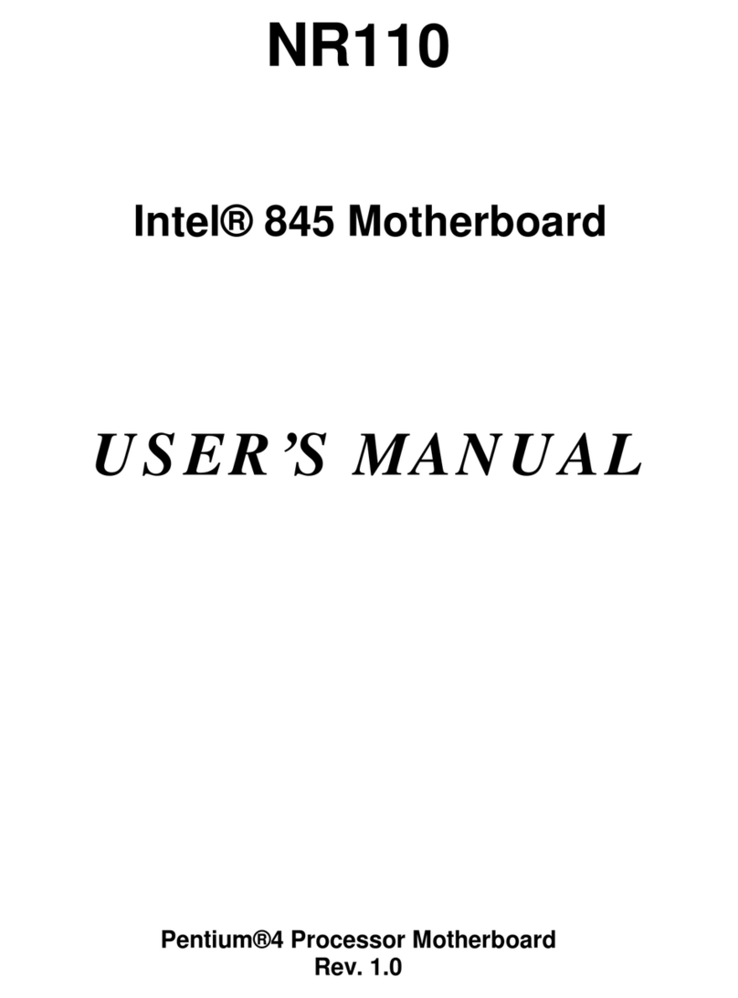 Intel Pentium NR110 User manual