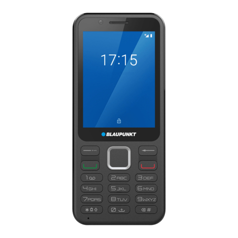 Blaupunkt FL 06 User manual