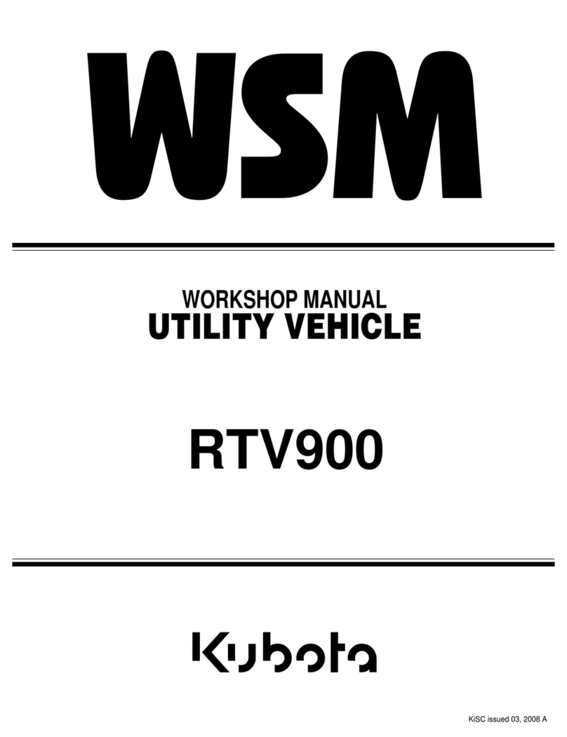 wsm RTV900 Instruction manual