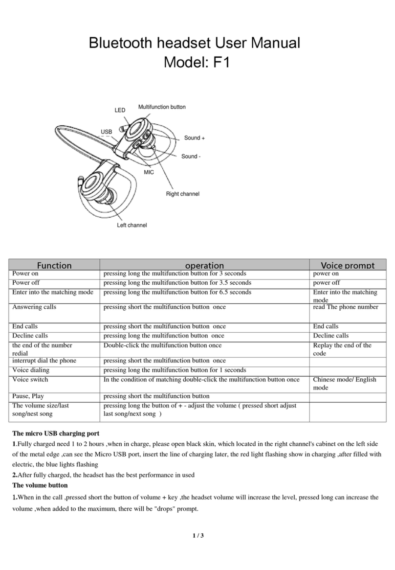 ISkin F1 user manual