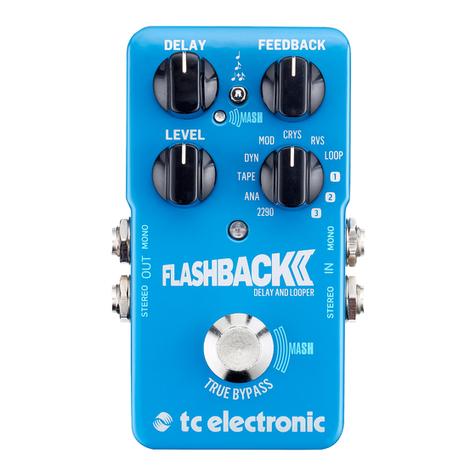 TC Electronic FLASHBACK 2 DELAY AND LOOPER User manual